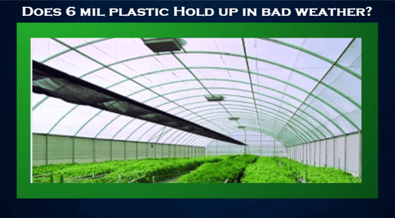 6 mil greenhouse plastic- Does it Hold Up