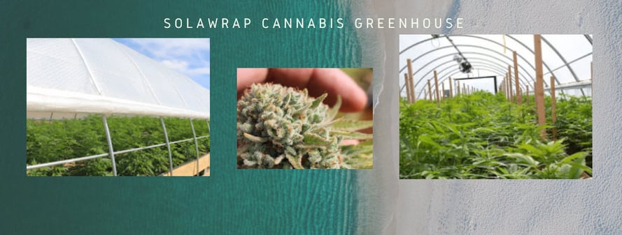 Cannabis greenhouse solawrap 2