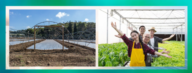 DIY Greenhouse Build or Hire a Professional Greenhouse installer