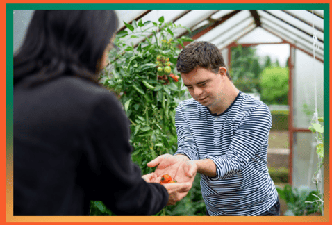 How To Select A Greenhouse Installer- A Comprehensive Guide