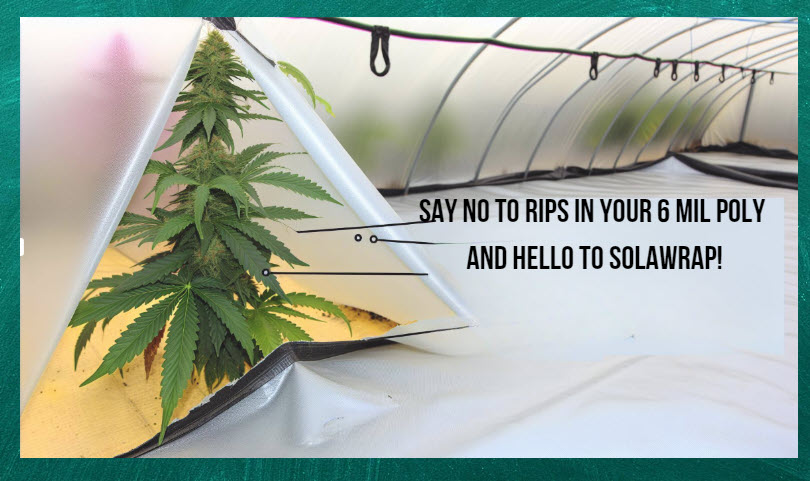 SolaWrap Stronger Cannabis Greenhouse Film