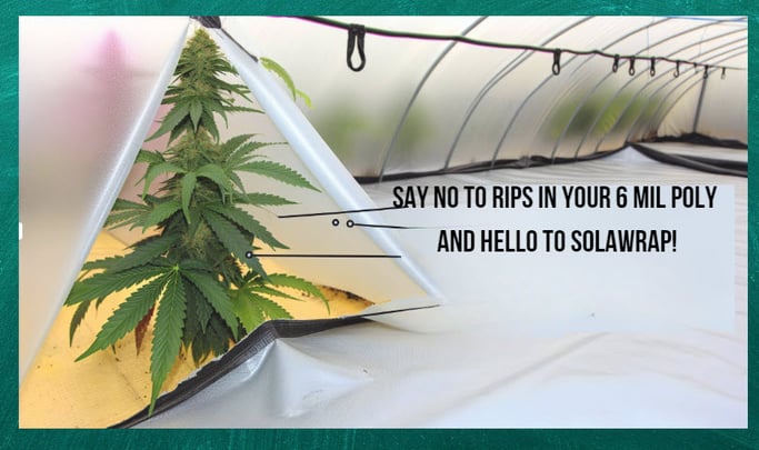 SolaWrap Stronger Cannabis Greenhouse Film