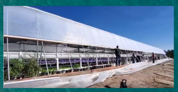 Greenhouse covering and greenhouse SolaWrap