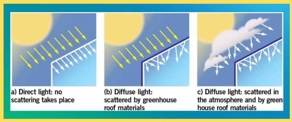 Light diffusion and your greenhouse.